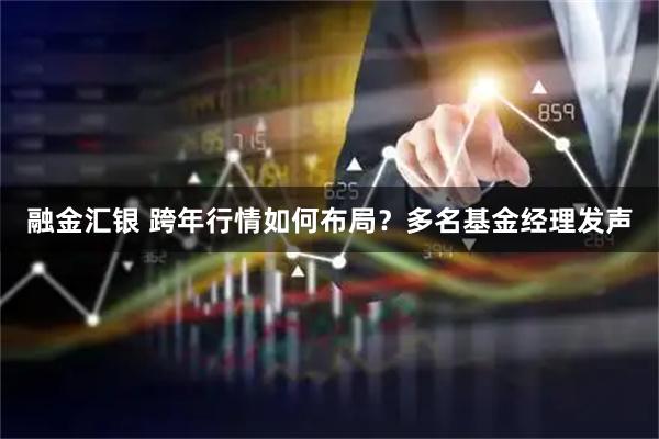 融金汇银 跨年行情如何布局？多名基金经理发声