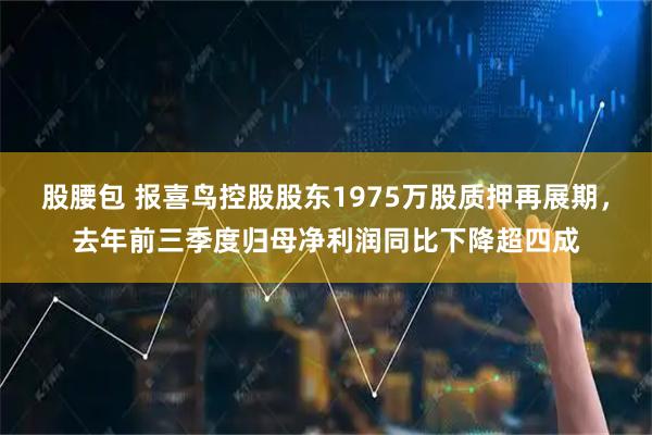 股腰包 报喜鸟控股股东1975万股质押再展期，去年前三季度归母净利润同比下降超四成