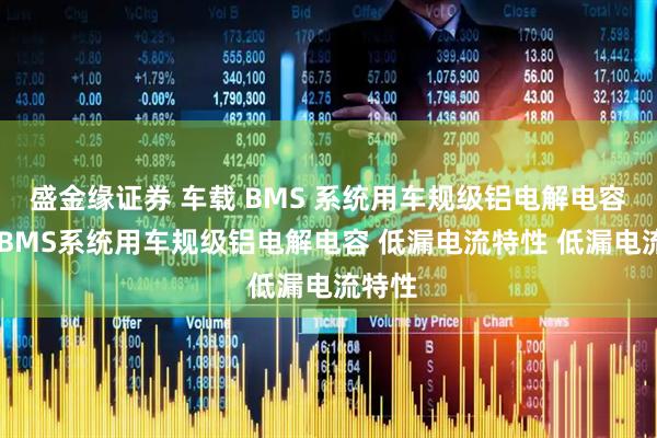 盛金缘证券 车载 BMS 系统用车规级铝电解电容车载 BMS系统用车规级铝电解电容 低漏电流特性 低漏电流特性
