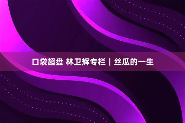 口袋超盘 林卫辉专栏｜丝瓜的一生